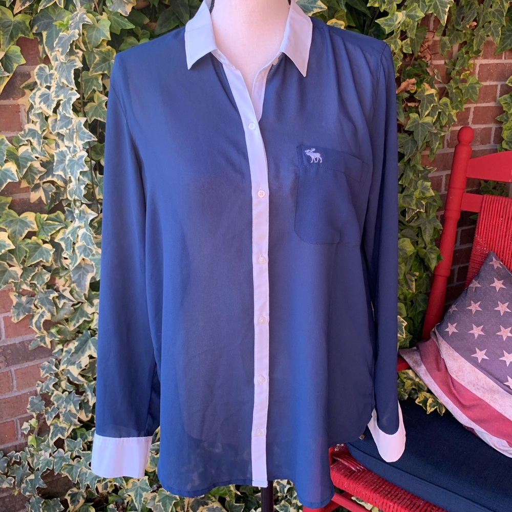 Abercrombie Blue & White Sheer Button Up